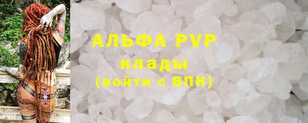 твердый Абаза