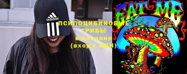 твердый Абаза
